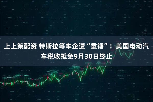 上上策配资 特斯拉等车企遭“重锤”！美国电动汽车税收抵免9月30日终止