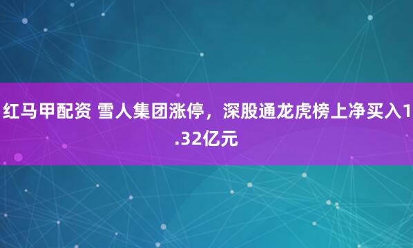 红马甲配资 雪人集团涨停，深股通龙虎榜上净买入1.32亿元